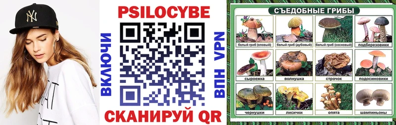 гидра онион  Энгельс  Псилоцибиновые грибы Psilocybe 
