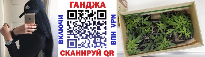 Бошки марихуана Bruce Banner Энгельс